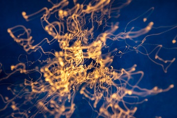 How Does Meta Balance Work? - Meta Balance Frequency Resonance System